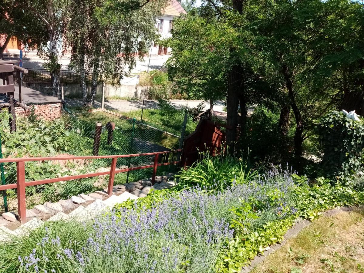 Moravská Nová Ves Penzion Slunce Nad Vinnym Sklepem מראה חיצוני תמונה