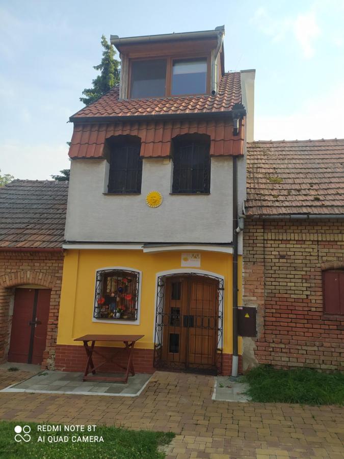 Moravská Nová Ves Penzion Slunce Nad Vinnym Sklepem מראה חיצוני תמונה