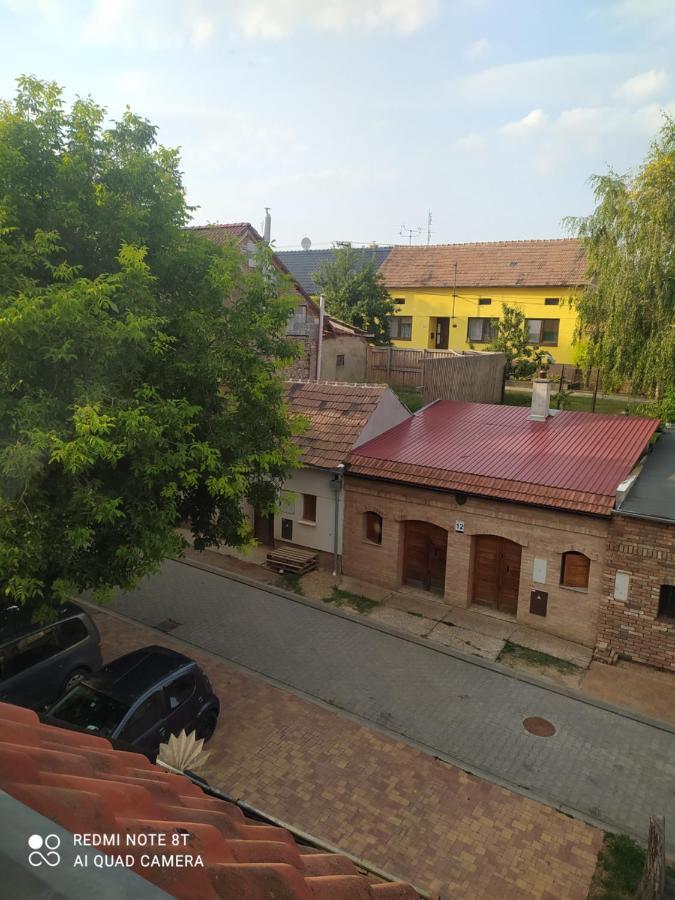 Moravská Nová Ves Penzion Slunce Nad Vinnym Sklepem מראה חיצוני תמונה